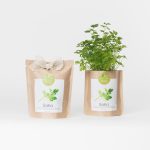 Parsley Grow Bag