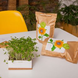 Sunflower Grow Bag