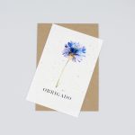 Thank You Plantable Postcard