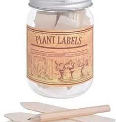 Wooden plant labels in jar