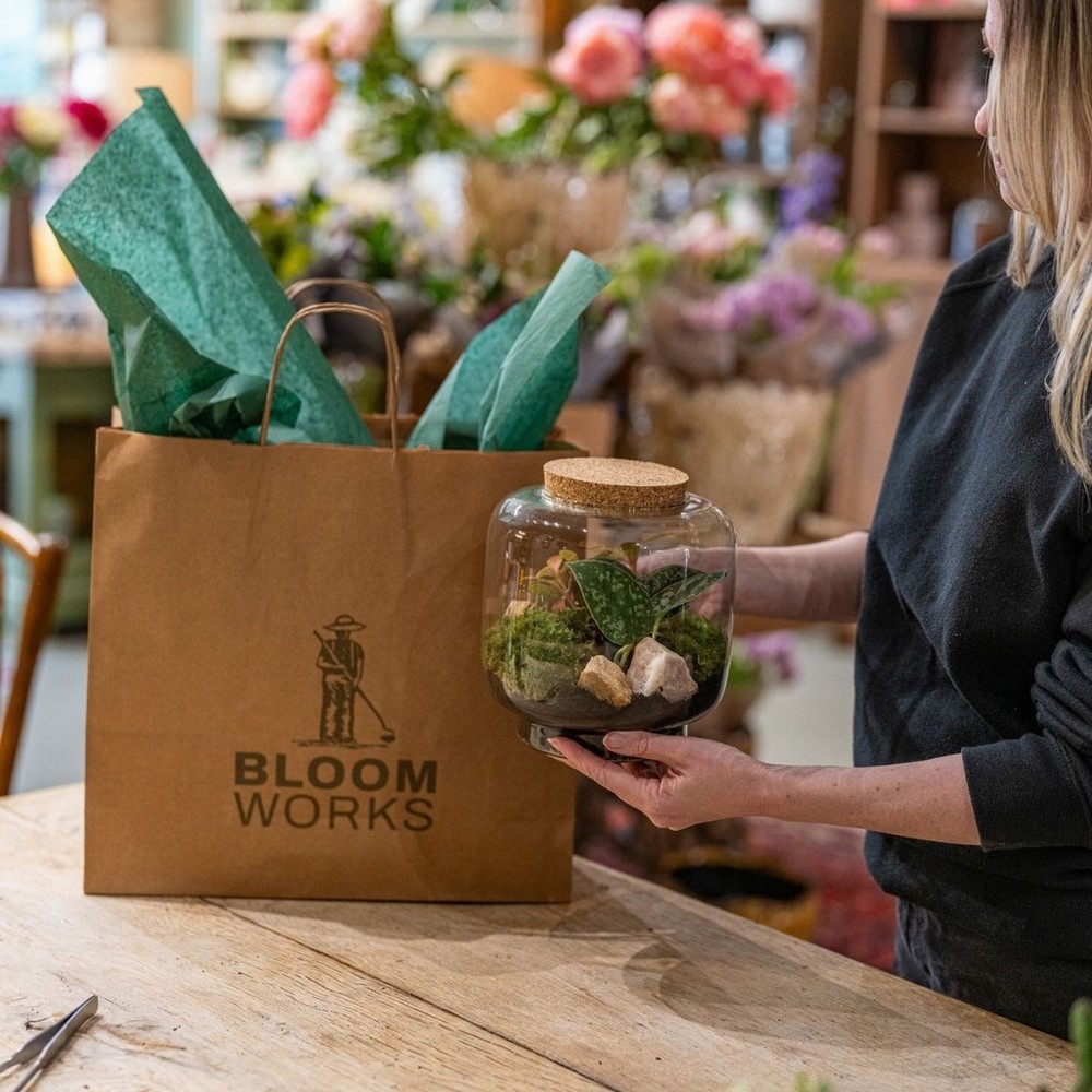 Terrarium Evening Workshop - 23rd September - Image 2