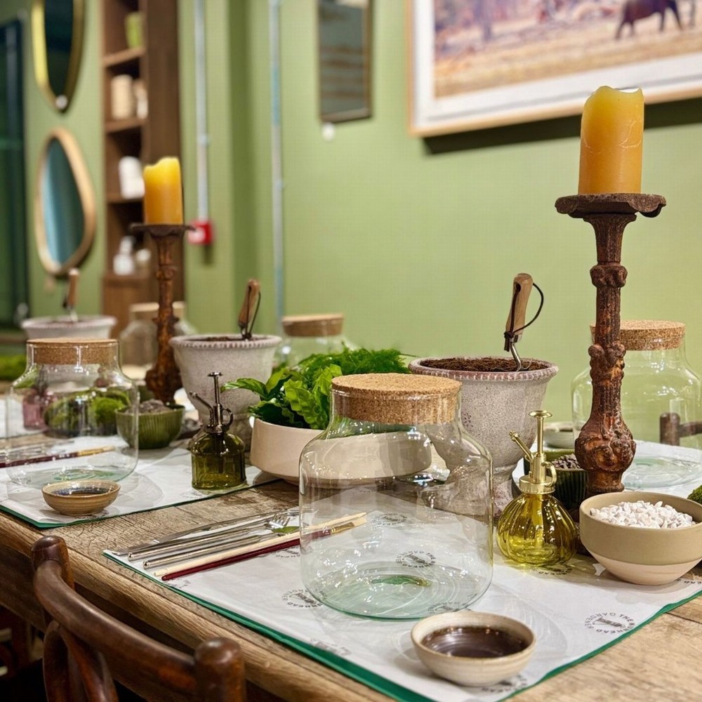 Terrarium Evening Workshop - 23rd September - Image 4