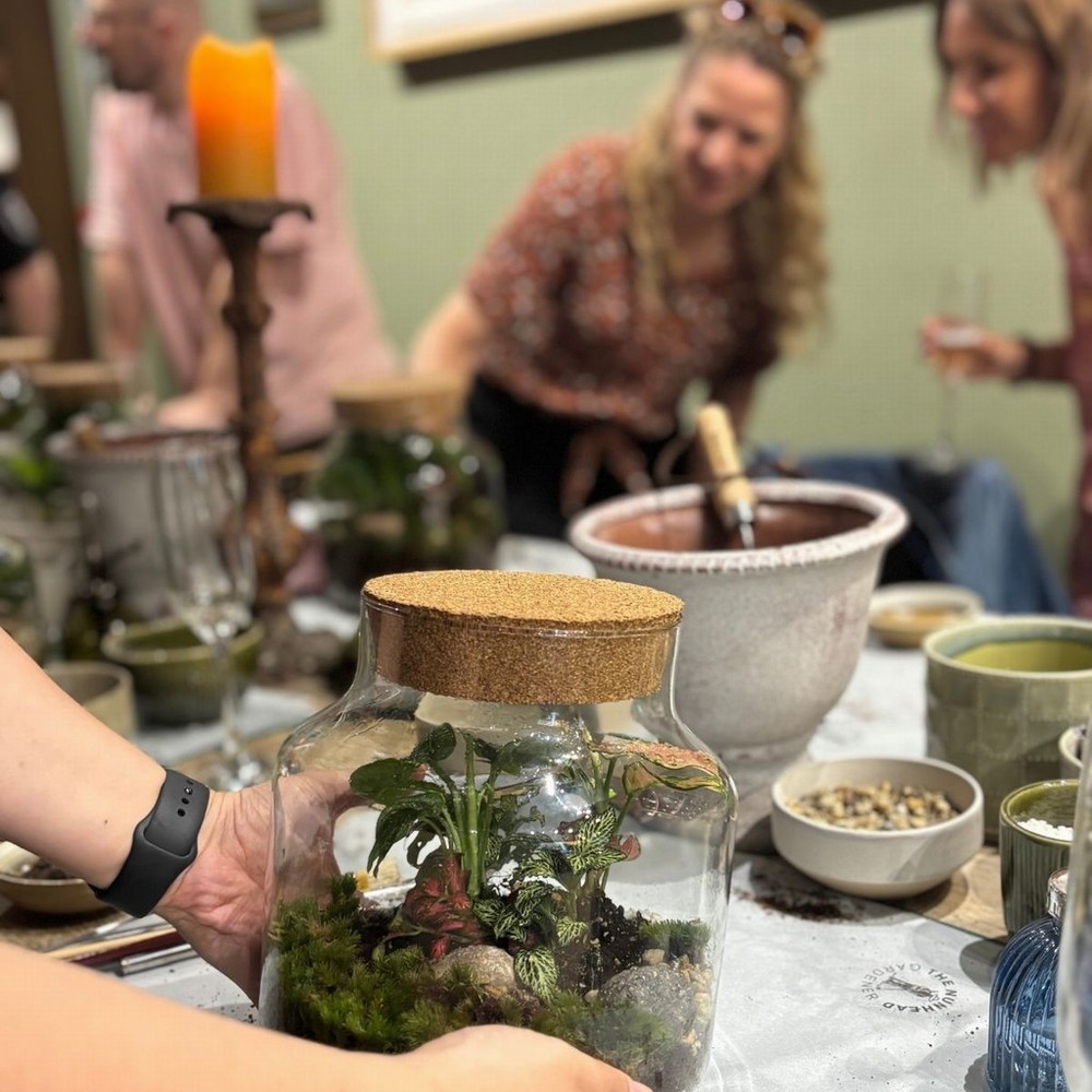 Terrarium Evening Workshop - 23rd September - Image 5