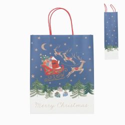 Small Santa in His Sleigh Gift Bag