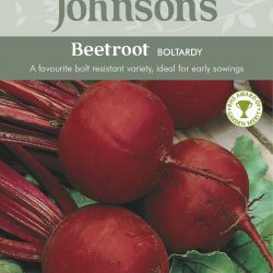 BEETROOT Boltardy