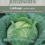 CABBAGE (Savoy) Vertus