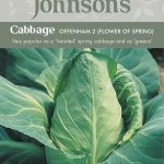 CABBAGE Offenham 2 (Flower of Spring)