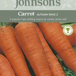 CARROT Autumn King 2