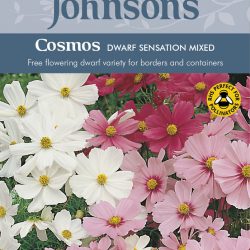 COSMOS Dwarf Sensation Mixed