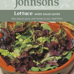LETTUCE Mixed Salad Leaves