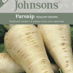 PARSNIP Hollow Crown