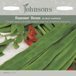 RUNNER BEAN Sc