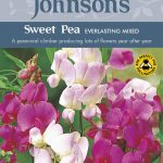 Sweet Pea Everlasting Mix