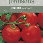 TOMATO Moneymaker