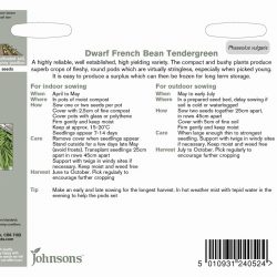 DWARF FRENCH BEAN Tendergreen