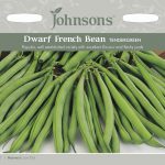 DWARF FRENCH B