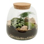 Compo Terrarium 90424