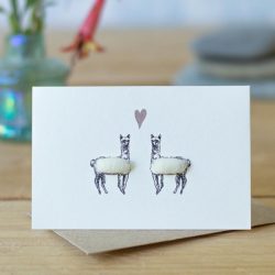 Mini Alpacas 2 white card