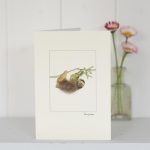 Sloth Greetings card