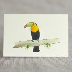 Mini Toucan