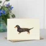 Mini Dachshund long haired black card