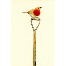 Mini Robin on a Spade