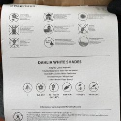 DAHLIA SHADES OF WHITE