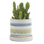 Minute Planter – Blue Green