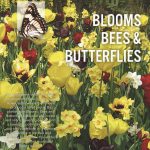 Blooms, Bees & Butterflies (orange shades).