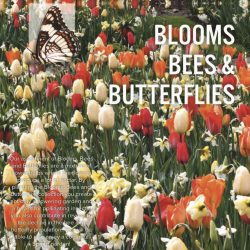 Blooms, Bees & Butterflies (red & orange shades).