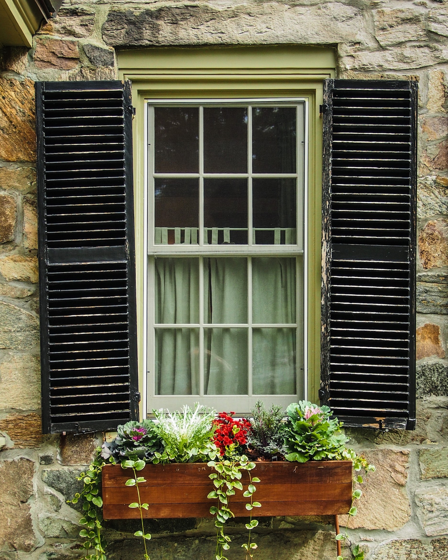 Window Box in front of a window with shutters
