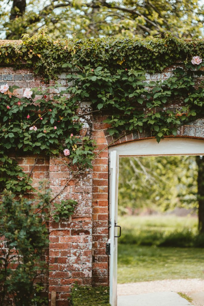 Pink roses climbing around red brick wall. White open door to the right of the image reveals an inner garden