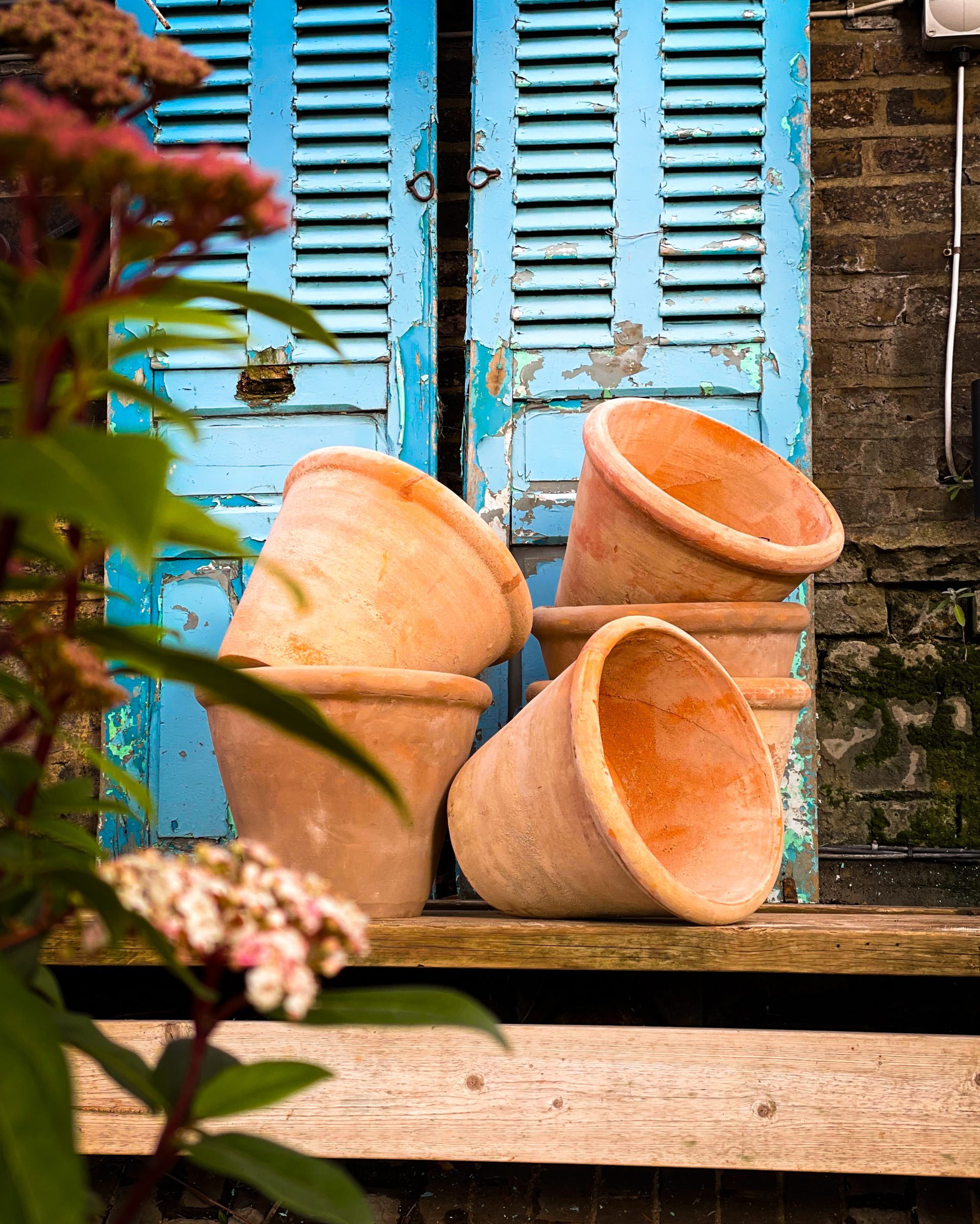 Terracotta pots in frong of a brick wall with blue decoratove door