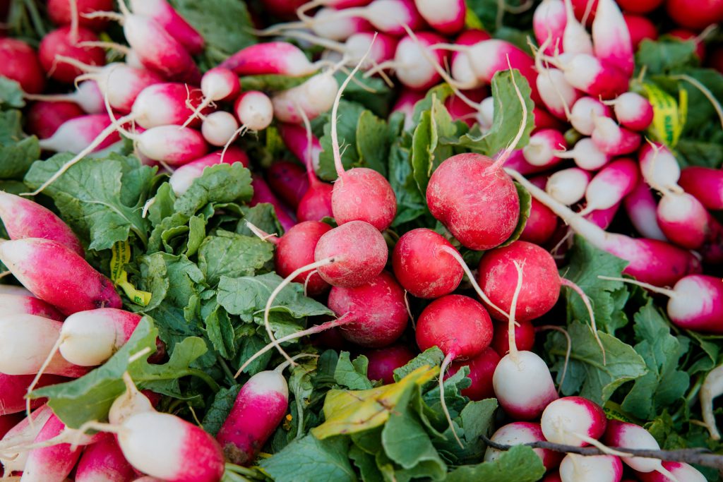A bunch of pink radishes with leaves