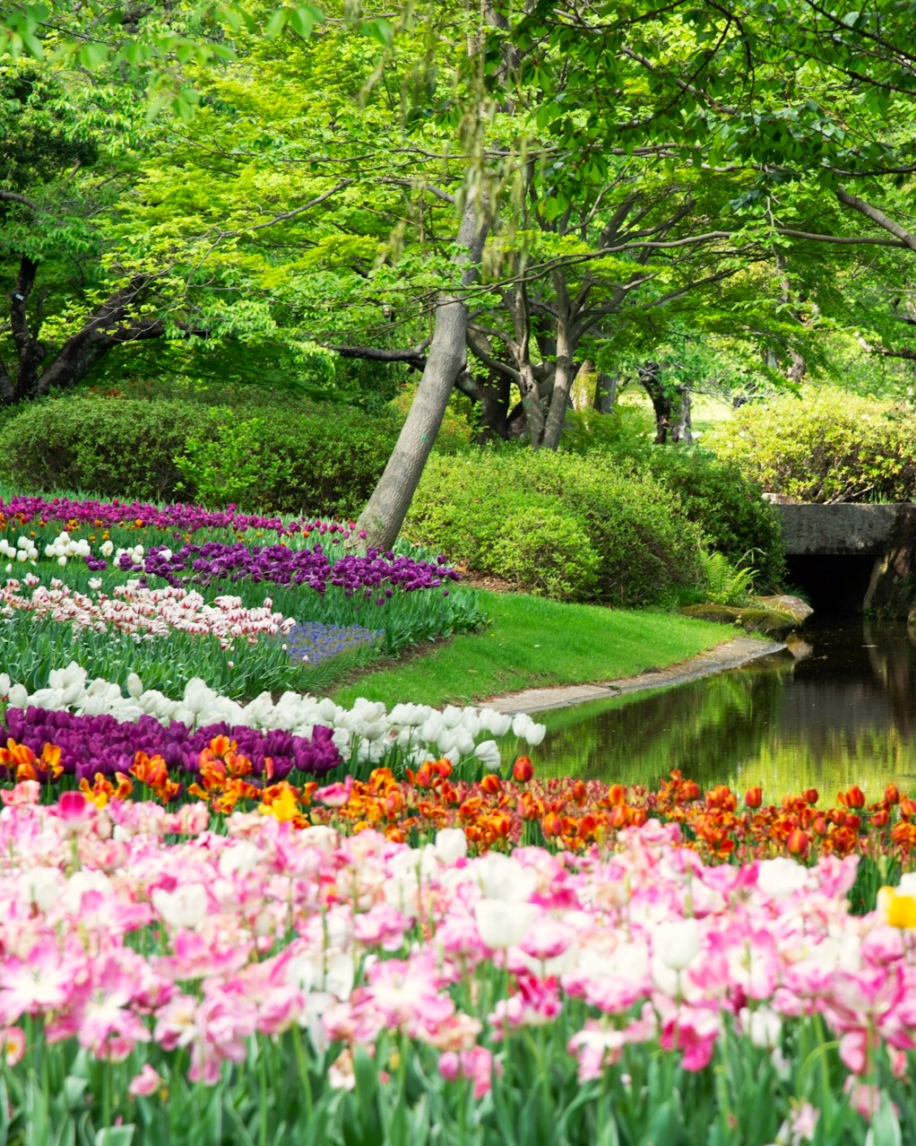 Garden beds in a park with colourful flowers and trees in the background. River flowing on the right side.